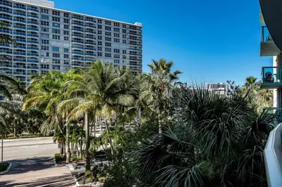 a group of palm trees in front of a tall building at Direct access to the beach, pool and parking 3T in Hollywood
