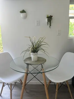 a glass table with two chairs and a potted plant at 2 Nice and Cozy guest house in Opa-locka