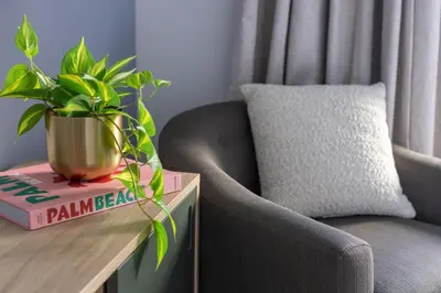 a plant in a pot on a book next to a chair at 2414 Chic Stay in Miami Downtown with Bay and City Views a Pool and Gym in Miami