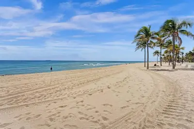 a sandy beach with palm trees and the ocean at Eden Collection Junior Suite Steps to Beach in Fort Lauderdale