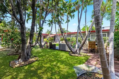 a yard with palm trees in front of a house at Hollywood 1BR Studio: Pets Allowed, BBQ & Parking in Hollywood