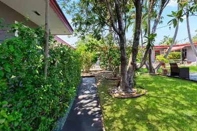 a garden with a tree and a sidewalk at Bright 2BR Getaway | BBQ, Garden & Parking in Hollywood