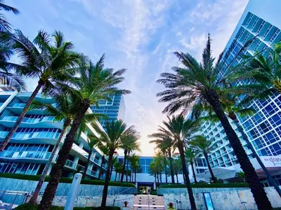 a group of palm trees in front of a building at Carillon Miami Beach Private Luxury Suites in Miami Beach
