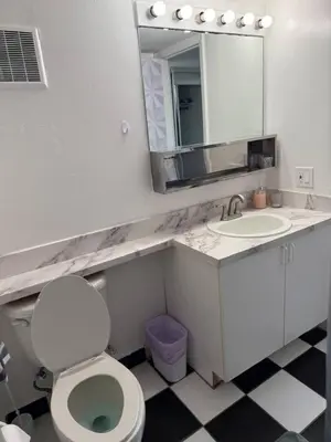 a bathroom with a toilet and a sink and a mirror at Walk to South Beach in Miami Beach
