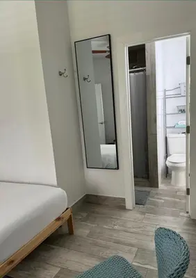 a bedroom with a bed and a mirror at Avocado House A Coconut Grove Bungalow in Miami