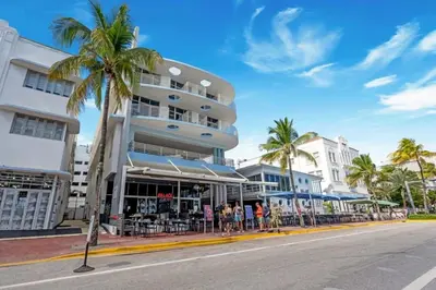 a building with palm trees in front of a street at Cozy Ocean Drive Studio - Roof top Pool and Bar in Miami Beach