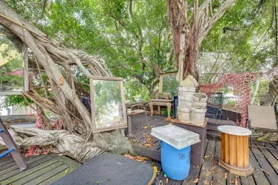 a tree that has grown around a wooden deck at 3 Mi to Beach Hollywood Treehouse with Deck and Yard! in Hollywood