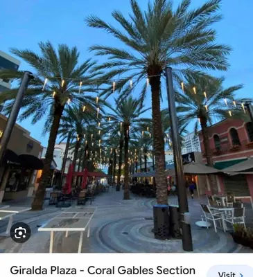 a group of palm trees on a city street at Modern Haven in Paradise w Heated Eco Pool 5B 4B in Miami