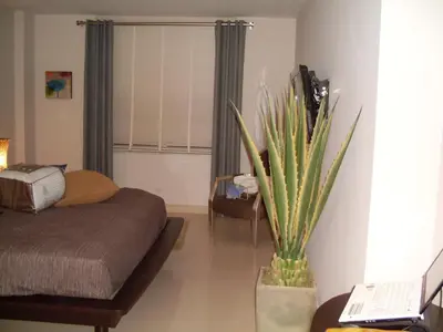 a bedroom with a bed and a table with a plant at 2 bedroom at The Roney Palace Condominiums Apt 1006 in Miami Beach