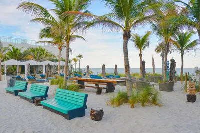 a group of benches on the beach with palm trees at Elegant Beachfront Retreat in Hollywood