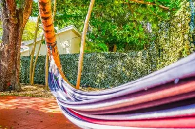 a hammock in front of a garden with trees at 2710 · Heated Pool 7 Beds 5 Baths Sleep 15 Park 4 Car in Miami