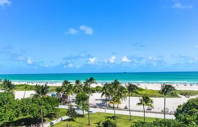 a view of a beach with palm trees and the ocean at Heart of South Beach Studio Roof Top Pool Balcony in Miami Beach