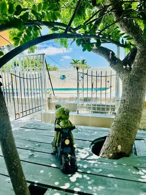 a teddy bear sitting on a motorcycle next to a tree at Love Story Pool House, free parking & BBQ in Miami
