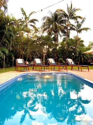 a swimming pool with two chairs and palm trees at Fox Island Heated Spa- Downtown & Beach in Fort Lauderdale
