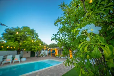 a house with a swimming pool and a tree at 3-Bedroom Tropical Villa with Heated Pool in Fort Lauderdale in Fort Lauderdale