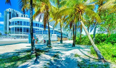 a group of palm trees in front of a building at Oceanview Studio at Castle Beach Club – Pool, Beach Access, Valet Parking, Gym & More! in Miami Beach