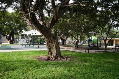 a tree in a park with a playground at Stylish 2br apt, 5 mins to the BEACH J2 in Hollywood