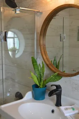 a potted plant sitting on a sink in a bathroom at WATERFRONT STUDIO COZY WITH WATERVIEWs in Miami Beach