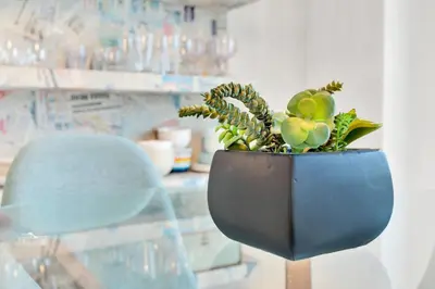 a plant in a blue pot sitting on a table at 2BR Art Deco Retreat Steps Away from the Beach in Miami Beach