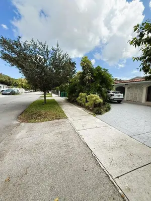 a tree on the side of a street at Urban Oasis Studio, Miami near Coral Gables #5 in Miami