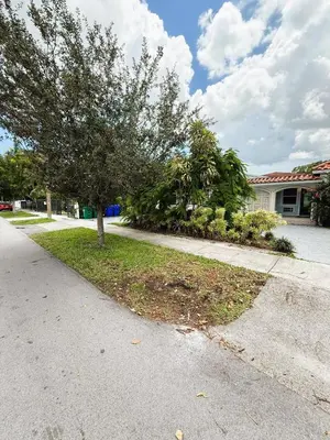 a tree on the side of a driveway at Urban Oasis Studio, Miami near Coral Gables #5 in Miami