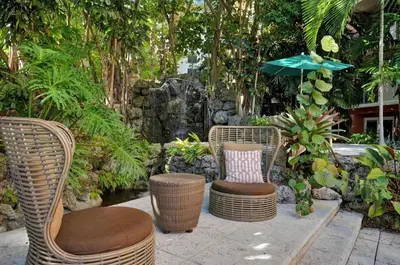a group of chairs and an umbrella in a garden at Palm Oasis, Pool and Free Parking in Miami