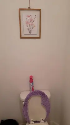 a toilet with a purple seat and a picture on the wall at Nassau Homestay in Opa-locka