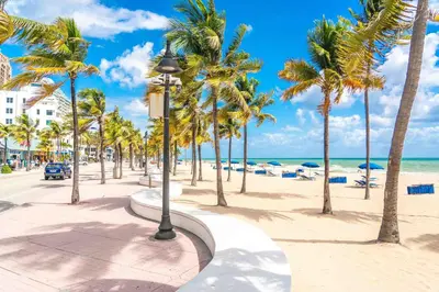 a street with palm trees on the beach at Casa Sol A in Fort Lauderdale