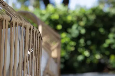 a close up of a wooden bench with trees in the background at The Lemon Branch Hotel in Miami Beach