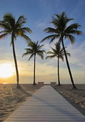 a boardwalk on the beach with palm trees and a bench at Steps to Sand! - Wellness Escape - Coastal Retreat in Fort Lauderdale