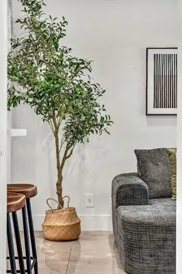 a living room with a tree in a basket next to a couch at Bright 1BR Getaway Victoria Park Las Olas Nearby in Fort Lauderdale