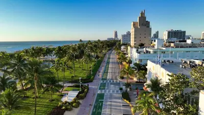 a city street with palm trees and the ocean at Cardozo Hotel in Miami Beach