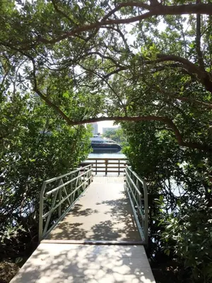 a bridge over a river with a boat in the distance at The Yacht Club at Aventura Miami 8304 in Aventura