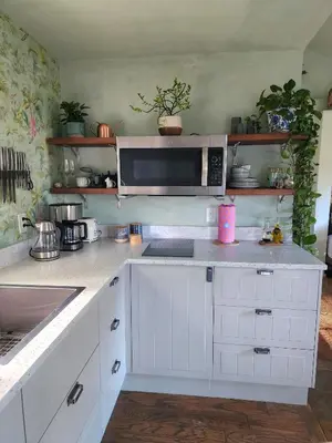a kitchen with white cabinets and a microwave at LUSH TROPICAL STUDIO in FT LAUDEDALE'S HISTORICAL SAILBOAT BEND NEIGHBORHOOD in Fort Lauderdale