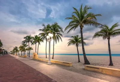 a row of palm trees on a beach with the ocean at Private Studio with Patio-King Bed, Near Beach & Casinos in Hollywood