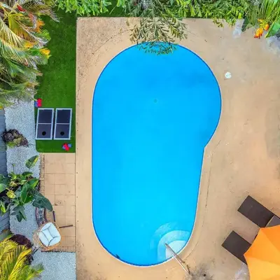 Palm Fiction - Pool and Hard Rock Casino
