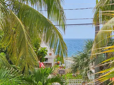 a view of the ocean from a palm tree at Holiday Home Guest House at the Ocean by Interhome in Fort Lauderdale