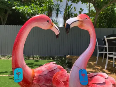 two flamingos are standing next to each other at Holiday Home 2BR - 2 bath Beheizter Pool- Familien-Haustierfreundlicher Spaß by Interhome in Fort Lauderdale