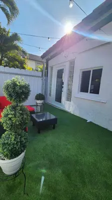 a yard with a potted plant and a house at Pop Art Loft in Hialeah