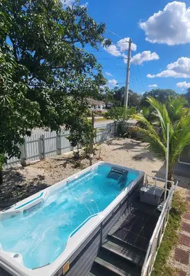 a swimming pool in a yard with a palm tree at Amazing room in Hollywood in Carver Ranches