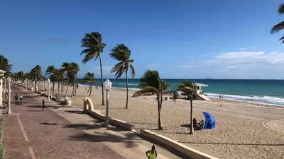 a sandy beach with palm trees and the ocean at C16P Oceanfront Penthouse in Hollywood FL in Hollywood