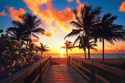 a wooden pathway leading to a beach with palm trees at Central Fort Lauderdale 2BR Cottage Near Beach in Fort Lauderdale