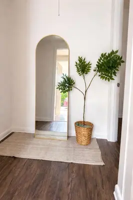 a potted plant sitting on a rug in front of a mirror at Ariia Fort Lauderdale Airport in Fort Lauderdale