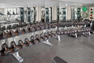 a row of rows of dumbbells in a gym at Mondrian in Miami Beach
