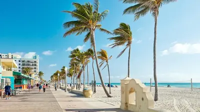 a beach with palm trees and people walking down a sidewalk at Ocean View Stay with Rooftop Pool Near the Beach in Hollywood