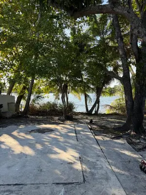 a sidewalk with trees in front of a body of water at Modern private efficiency Miami Gardens in Miami Gardens