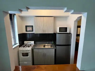 a small kitchen with a stove and a sink at Sherbrooke All Suites Hotel in Miami Beach
