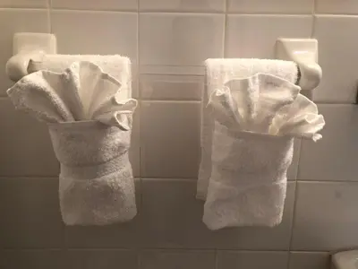 two towels are hanging on a wall in a bathroom at Beach Place Hotel in Miami Beach