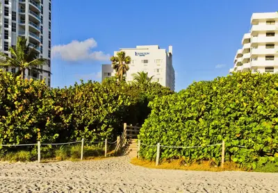 a bunch of bushes on a beach with buildings at Lexington by Hotel RL Miami Beach in Miami Beach