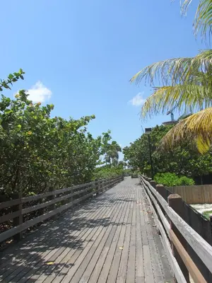 a wooden bridge over a beach with palm trees at Ocean Blue in Miami Beach